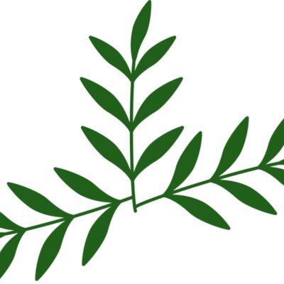 Leaves 2 Thumbnail